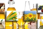 کشت قراردادی، راهکاری برای خودکفایی تولید روغن