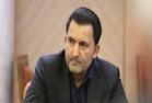 پایداری صادرات مرغ در گرو تنظیم بازار داخلی