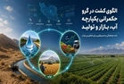 اجرای مصوبه الگوی کشت به کجا رسید؟/ مصوبه الگوی کشت کلید دستیابی به خودکفایی محصولات اساسی/ مصوبه الگوی کشت با شعار محقق نمی شود.