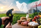 امنیت غذایی؛ حلقه مفقوده سرمایه‌گذاری و توسعه اقتصاد کشاورزی گلستان