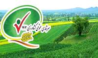 افزایش ۳ درصدی بهره برداران کشاورزی