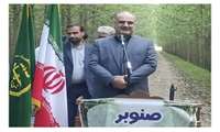 حضور مجری طرح ملی زراعت چوب در گیلان : زراعت چوب طرح زراعتی محسوب می شود 