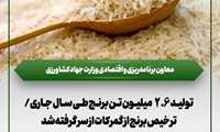 تولید ۲.۶ میلیون تن برنج طی سال جاری/ ترخیص برنج از گمرکات از سر گرفته شد
