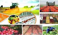 پرداخت تسهیلات به شبکه تعاونی برای خرید توافقی محصولات کشاورزی