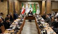 مرغ آرین نیازمند متولی واحد و ایجاد زنجیره یکپارچه از لاین تا بازار