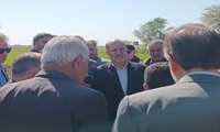 بازدید مشترک وزارت جهاد کشاورزی و کمیسیون کشاورزی مجلس از خسارت سرمازدگی در خوزستان