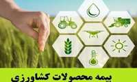 رشد بیمه کشاورزی در سال زراعی جاری؛ از گندم تا پسته، کدام محصولات کشاورزی بیشتر بیمه شدند؟