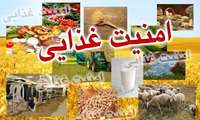 ۸ درصد از ظرفیت دانش‌بنیان کشور در خدمت امنیت غذایی