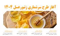 آغاز طرح سرشماری زنبورعسل سال 1404