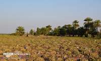 جبران خسارات ناشی از سیل در حال پیگیری و انجام است.