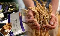 چالش‌های بودجه کشاورزی و راهکارهای افزایش بهره‌وری