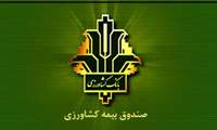 افزایش 140 درصدی غرامت پرداختی به کشاورزان خسارت دیده / جهش ۱۵۰ درصدی تعهدات بیمه گندم/ پوشش 100 درصدی 6.5 میلیون هکتار گندمزار