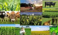 برگزاری نخستین رویداد فناوری های نوین کشاورزی