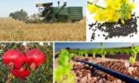 تاکید بر فرآیند محور شدن کشاورزی کشور