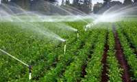 /بررسی بخش درآمدی لایحه بودجه سال 1402/ تکلیف دولت برای توسعه روشهای آبیاری نوین در سال آینده