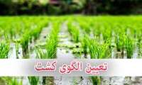 /بررسی بخش هزینه ای لایحه بودجه سال 1402/ درآمد حاصل از عوارض صادرات محصولات آب‌بر کشاورزی صرف اجرای الگوی کشت می‌شود/مخالفت مجلس با عرضه نهادهای کشاورزی در بورس کالا