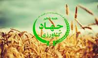 اتصال وزارت جهاد کشاورزی به درگاه ملی خدمات هوشمند دولت