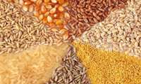 حقوق گمرکی و مالیات کالاهای اساسی صفر و  نهاده های دامی‌ و کشاورزی یک درصد می شود.