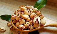 صادرات 110 میلیون دلاری پسته ایران در 5 ماه