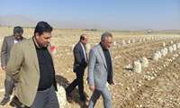 دبیر کمیسیون کشاورزی مجلس شورای اسلامی: کمیسیون کشاورزی مجلس به دنبال جلوگیری از خردشدن اراضی کشاورزی است.