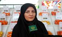 مدیرکل دفتر میوه‌های گرمسیری و نیمه گرمسیری اعلام کرد؛ رشد 32 درصدی تولید میوه‌های گرمسیری در ایران طی سه سال