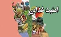 در راستای تصویت سند ملی دانش بنیان امنیت غذایی؛ ایران در سال 1411 به خودکفایی در صنعت غذایی می‌رسد.