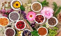 اجرایی شدن اولین قرارداد کشت قراردادی گیاهان دارویی توسط اتحادیه ملی تعاونی‌های کشاورزی گیاهان دارویی ایران