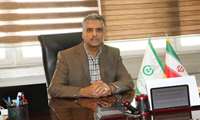 حدود 40 درصد گندم از سوی تشکل‌های تعاون روستایی خریداری شد.