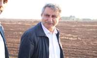 معاون امور زراعت وزارت جهاد کشاورزی: تولید گندم با کیفیت در دستور کار است.