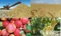 جایگزینی خرید توافقی با تضمینی/ بحران کشور ما صادرات آب است.
