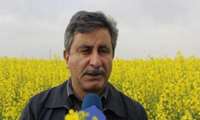 2 امتیاز ویژه برای کشت قراردادی در نظر گرفته شد.