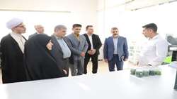 حرکت به سوی کشاورزی دانش‌بنیان با محوریت جوانان و فناوری‌های نوین
