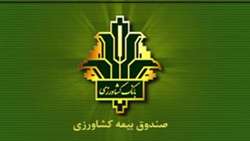ساز و کار تسویه بدهی صندوق بیمه محصولات کشاورزی به بانک کشاورزی مشخص شد.