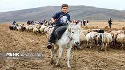شروط شناسایی عشایر در سرشماری اعلام شد.