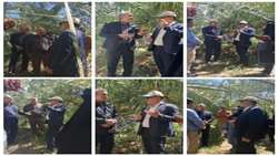 جهاد کشاورزی تعطیل نیست