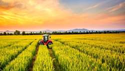 جهادهای کشاورزی استانها اجرای موفق الگوی کشت را مدیریت کنند.