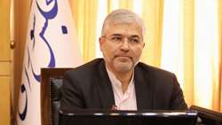 لزوم تأمین بودجه مستقل برای پروژه ملی مرغ لاین آرین در بودجه ۱۴۰۵ / احیای نژاد بومی گامی راهبردی در خودکفایی غذایی کشور