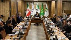 مرغ آرین نیازمند متولی واحد و ایجاد زنجیره یکپارچه از لاین تا بازار