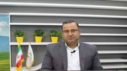 ملخ مراکشی تهدیدی جدی برای کشاورزی ایران است.