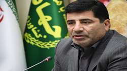 توزیع فراوان نهاده در سراسر کشور تا پایان آبان‌ آغاز خواهد شد.