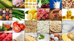 اصلاح سیاست‌های بازار کشاورزی گامی مهم برای تقویت آرامش بازار است.