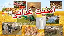 ۸ درصد از ظرفیت دانش‌بنیان کشور در خدمت امنیت غذایی