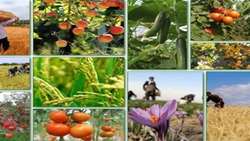 راهکارهای دولت برای افزایش اثربخشی بودجه عمرانی
