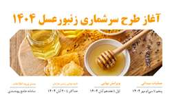 آغاز طرح سرشماری زنبورعسل سال 1404