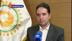 اصلاح سیاست ها، شرط خوداتکایی در تولید دانه‌های روغنی