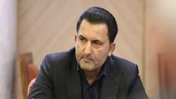 پایداری صادرات مرغ در گرو تنظیم بازار داخلی
