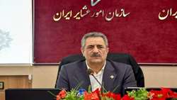 افزایش تاب آوری اقتصادی عشایر با طرح مکان محور