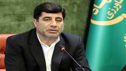 «تمهیدات دولت برای تامین روغن در بازار»