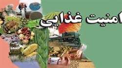 نشست تخصصی ایمنی غذایی، جنگ و تاب‌آوری زنجیره تأمین برگزار می‌شود.