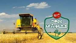 پرداخت 6.5 همت خسارت بیمه‌ای به کشاورزان